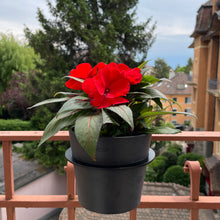 Charger l'image dans la galerie, Yo! Mini Gris Foncé