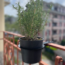 Charger l'image dans la galerie, Yo! Mini Gris Foncé