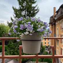 Charger l'image dans la galerie, Yo! Mini Taupe