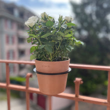 Charger l'image dans la galerie, Yo! Mini Terracotta