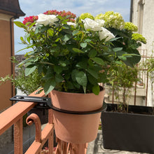 Charger l'image dans la galerie, Yo! Mini Terracotta