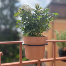 Charger l'image dans la galerie, Yo! Mini Terracotta