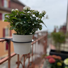 Charger l'image dans la galerie, Yo! Mini Blanc Gris