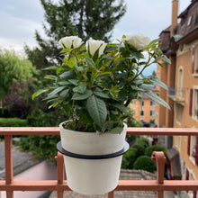 Charger l'image dans la galerie, Yo! Mini Blanc Gris