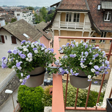 Charger l'image dans la galerie, YoYo! Mini Taupe