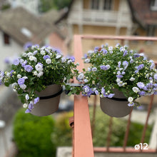 Charger l'image dans la galerie, YoYo! Mini Taupe