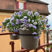 Charger l'image dans la galerie, YoYo! Mini Taupe