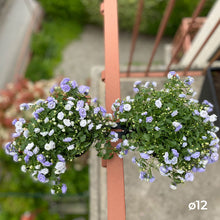 Charger l'image dans la galerie, YoYo! Mini Taupe