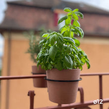 Charger l'image dans la galerie, YoYo! Mini Terracotta