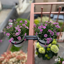 Charger l'image dans la galerie, YoYo! Mini Blanc Gris