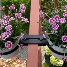 Charger l'image dans la galerie, YoYo! Mini Blanc Gris