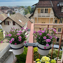 Charger l'image dans la galerie, YoYo! Mini Blanc Gris