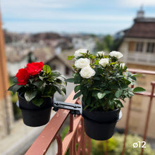 Charger l'image dans la galerie, YoYo! Mini Gris Foncé