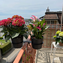 Charger l'image dans la galerie, YoYo! Gris Foncé