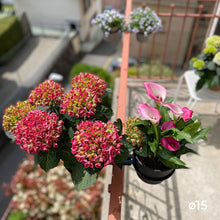 Charger l'image dans la galerie, YoYo! Gris Foncé