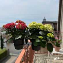 Charger l'image dans la galerie, YoYo! Gris Foncé