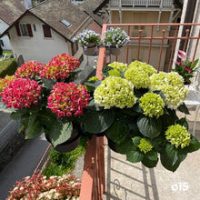 Charger l'image dans la galerie, YoYo! Gris Foncé