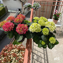 Charger l'image dans la galerie, YoYo! Gris Foncé