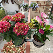 Charger l'image dans la galerie, YoYo! Taupe