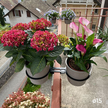 Charger l'image dans la galerie, YoYo! Taupe