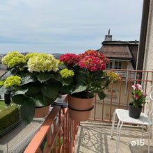 Charger l'image dans la galerie, YoYo! Terracotta