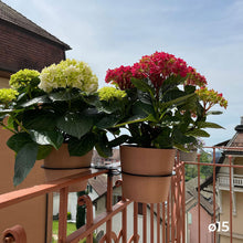 Charger l'image dans la galerie, YoYo! Terracotta