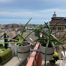 Charger l'image dans la galerie, YoYo! Blanc Gris