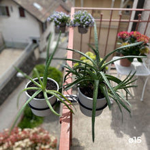 Charger l'image dans la galerie, YoYo! Blanc Gris