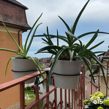 Charger l'image dans la galerie, YoYo! Blanc Gris