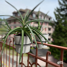 Charger l'image dans la galerie, YoYo! Blanc Gris