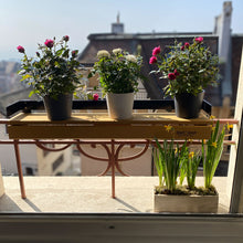 Charger l'image dans la galerie, BarÀBar Piccolo - Latte