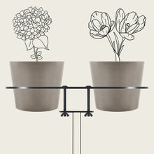 Charger l'image dans la galerie, YoYo! Taupe