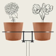 Charger l'image dans la galerie, YoYo! Terracotta